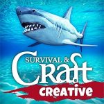 Survival & Craft