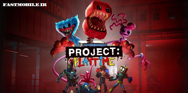 Project Playtime