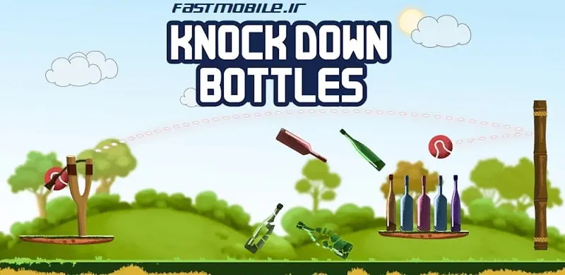 Bottle Shooting Game
